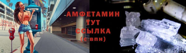 прущие грибы Аркадак