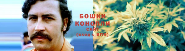 прущие грибы Аркадак