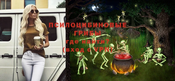 прущие крисы Арсеньев