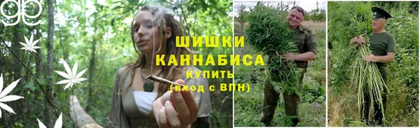 прущие крисы Арсеньев