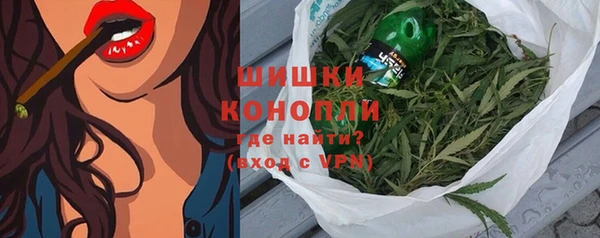 дмт Новокубанск