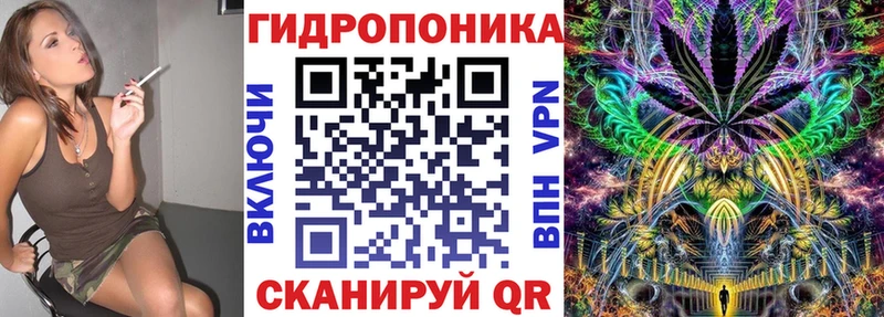 Бошки Шишки White Widow  Строитель 